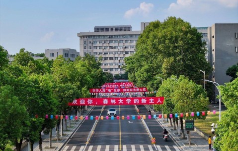 华中科技大学(华中科技大学研究生招生信息网)