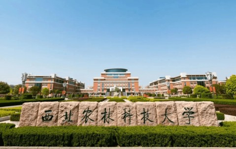 西北农林科技大学本科毕业要求