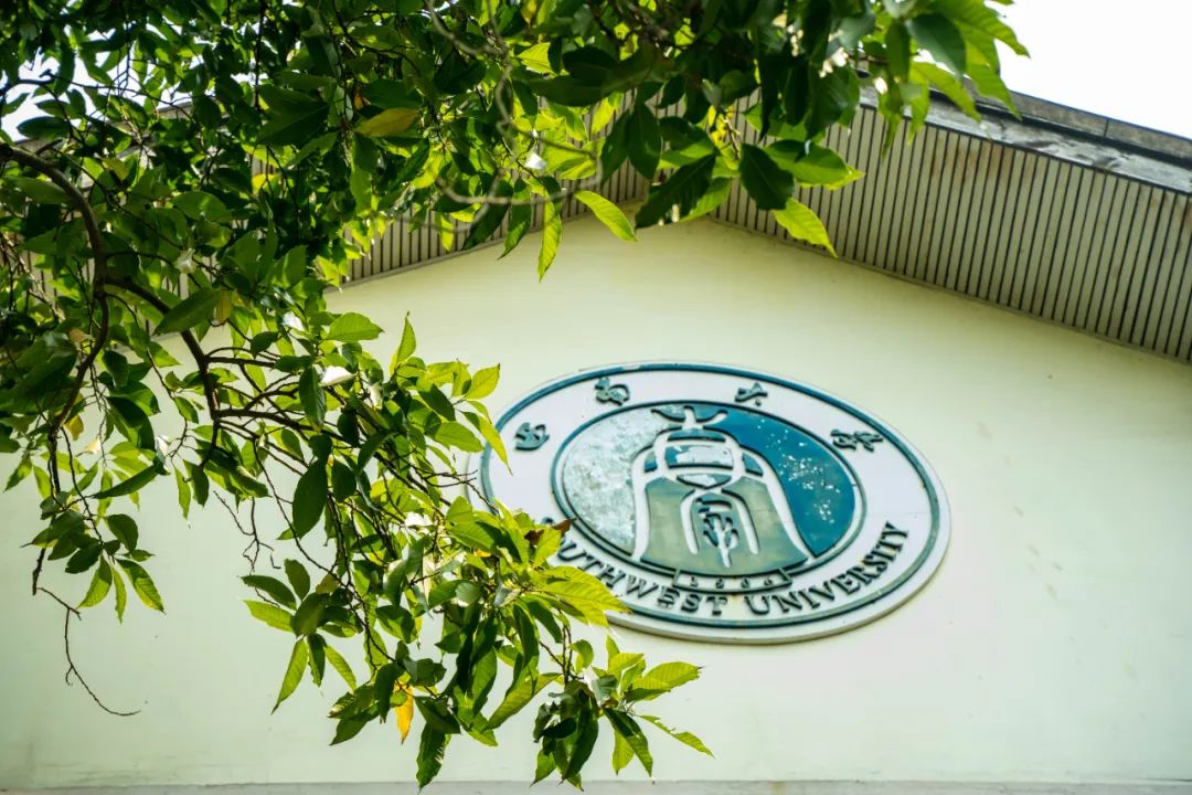 西南大学(西南大学国家治理学院)
