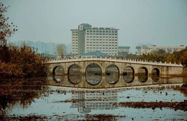 中南财经政法大学(中南财经政法大学外国语学院)