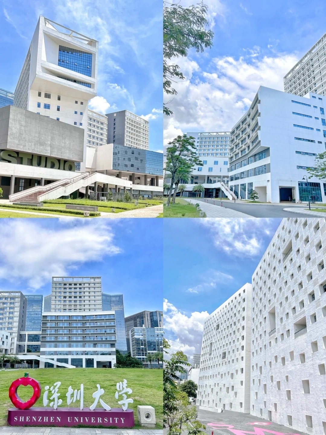 深圳大学(深圳大学官网)