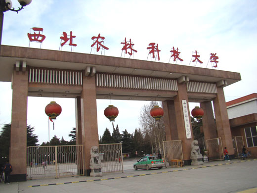 西北农林科技大学本科毕业要求