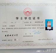 西南大学文凭查询