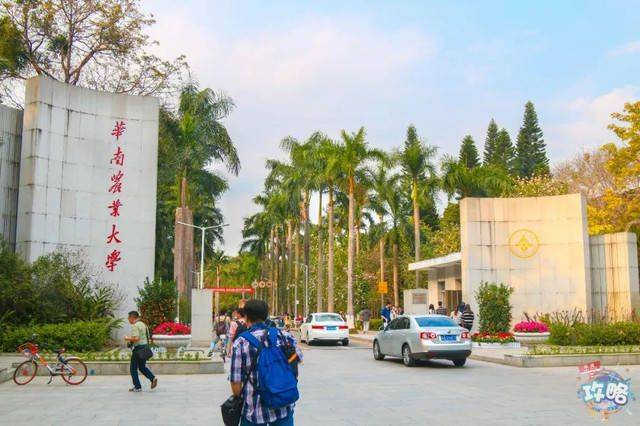华南农业大学文凭认可度