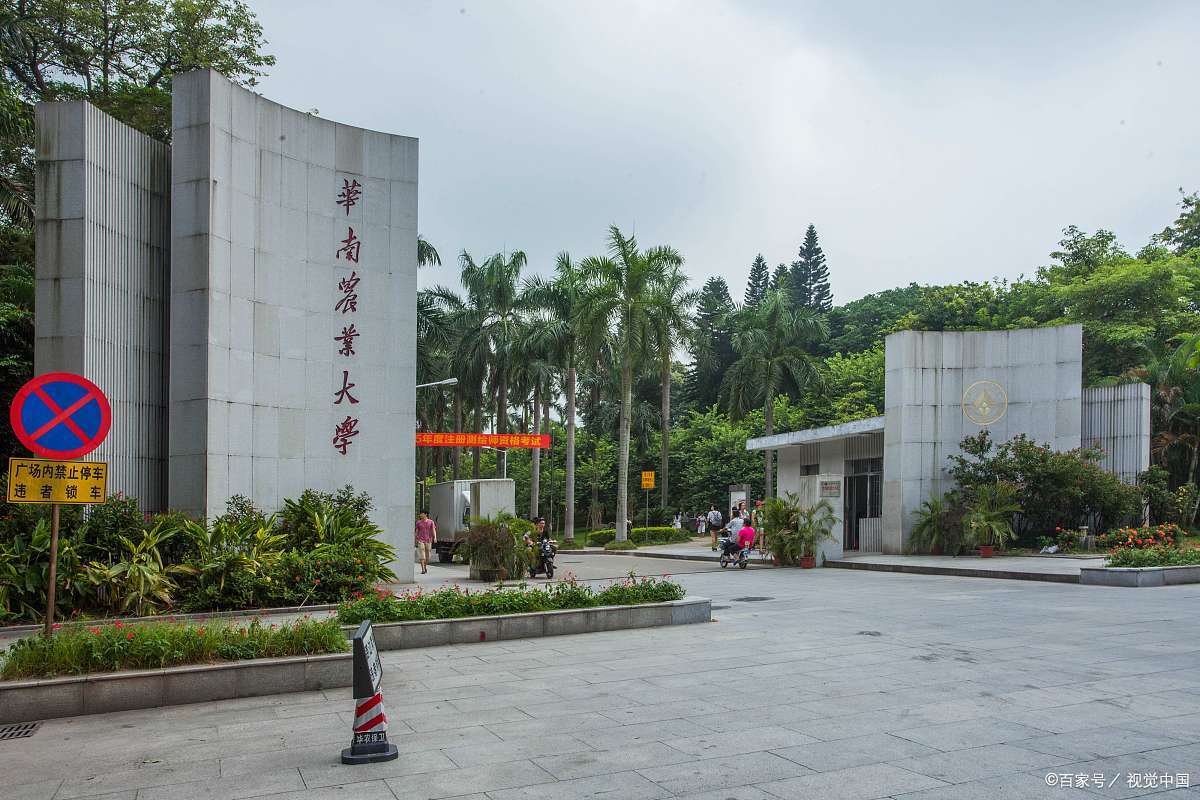 广西大学官网